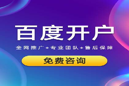 解析SEM竞价代运营的成功要素及案例